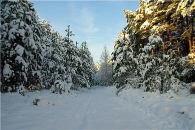 《苍翼：混沌效应》Steam正式推出 好评肉鸽横版动作