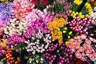 《守望先锋2》新英雄预热彩蛋上线 或将是第二位中国英雄